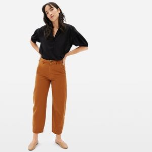 Everlane the arc canvas pants